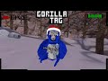 Gorilla tag with viewers!