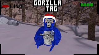 Gorilla tag with viewers!