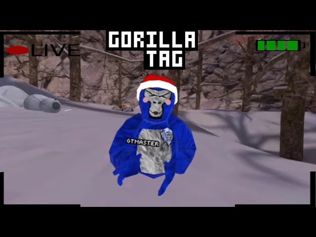 Gorilla tag with viewers!
