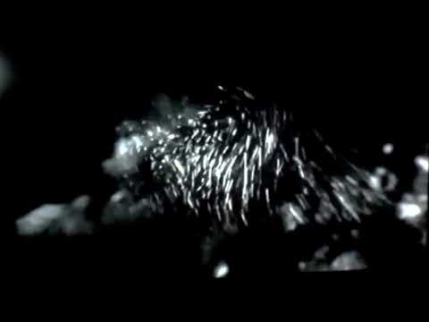 "Les Sphères" Stephen O'Malley & Kali Malone Live at FAQ Festival