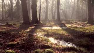 Mysteries Reflected: Track from my piano album, Reflected Glory