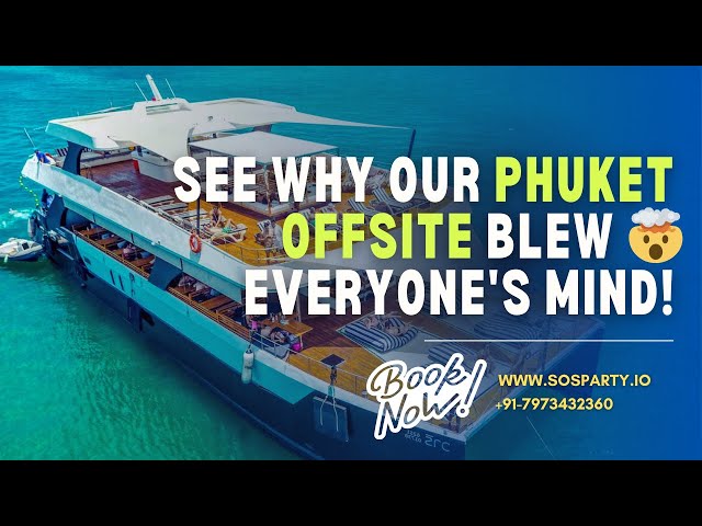 Video Glimpses SOS Party Offsite