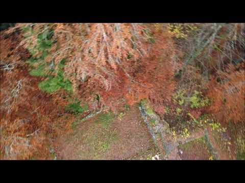 Arbeitseinsatz Burgenverein "Grafen von Toggenburg" an der Ruine Rüdberg 2021