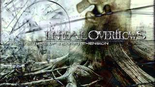 UNREAL OVERFLOWS - Architecture of Incomprehension [FULL ALBUM]