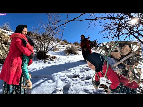 🌟 Mina's adventure in the mountains: 🙏 Big firewood and sweet moments 🏠💕