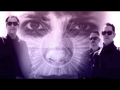 Octavian Winters video