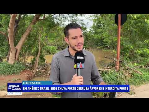 Américo Brasiliense: chuva forte derruba árvores e interdita ponte - Jornal da Clube (03/11/25)