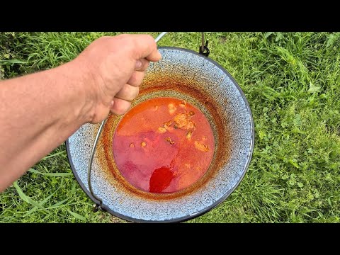 Originalni baranjski pileći paprikaš na riblji način | IŠ FIŠ