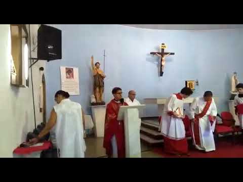 Homilia Dom José. Sexta feira da paixão