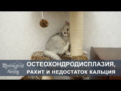 Боли в шее и затылке трудно глотать Остеохондроз шейного отдела и боль в руке