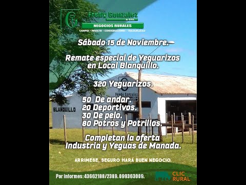 15/11/2025 Blanquillo - Durazno - Feria Mensual - Fredy González y Cía Ltda - Diego Prego