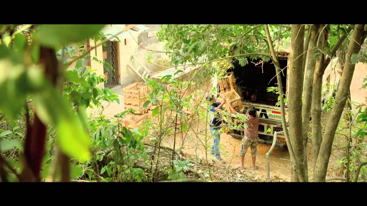 Por Bazaar - Marathi Movie Trailer - Sai Tamhankar, Swarangi Marathe