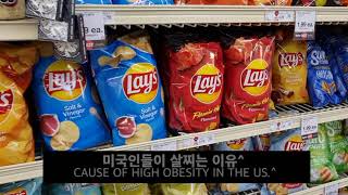 영하 10도 날씨에 미국에서 쇼핑하기 | Shopping in the USA at -10°C  [USA #2]