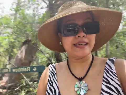 Blackdown Tablelands National Park | 2024