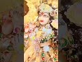 Jai Shri Krishna Hey Keshav Hey Madhav Hey Govinda Krishna Whatsapp Status Viral Krishnastatus