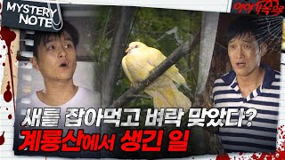 Download lagu [Mystery Note] Struck by lightning after eating a bird? What happened at Gyeryongsan Mountain｜#My... mp3