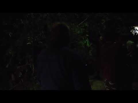 Moa Anbessa ft. Prince David - His Foundation (live @ Overjam 2016)