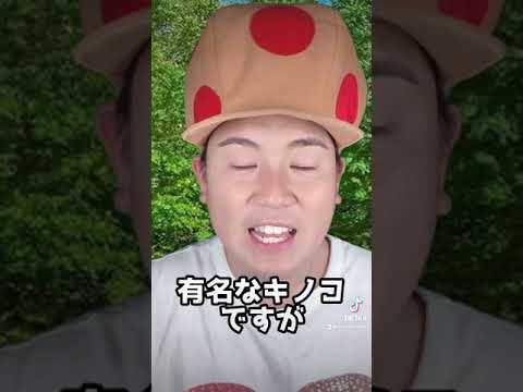 フランスにおける有毒キノコとは何ですか?またその見分け方は?選ぶときはこの7種に注目！  庭園