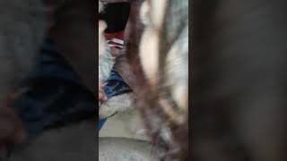 Where did she come from