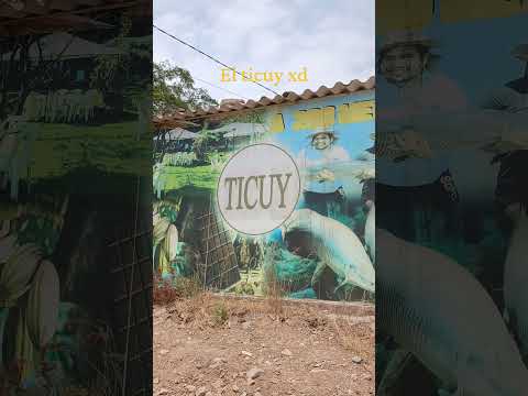 ticuy. la traposa,  ferreñafe,  lambayeque