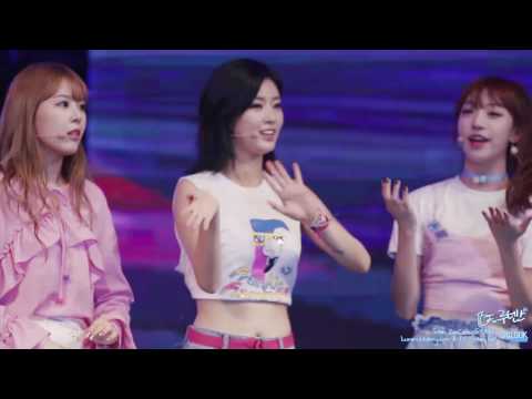 160806 고원 토마토 페스티벌 소나무 4 멘트