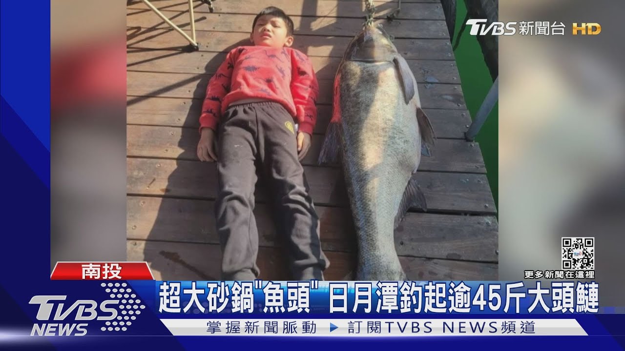超大砂鍋「魚頭」　日月潭釣起逾45斤大頭鰱