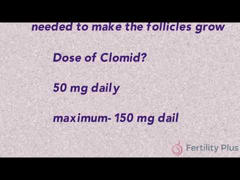 Clofert 100 mg ho
