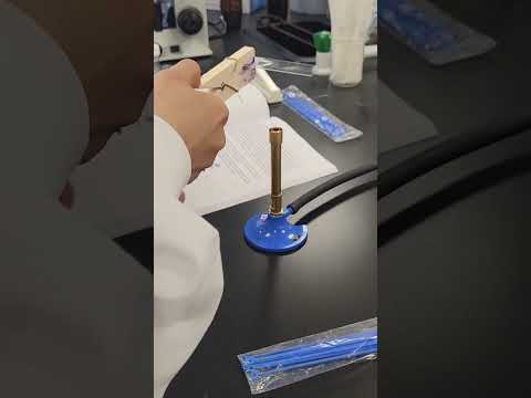 Guess what this is #inthelab #medstudent #shorts