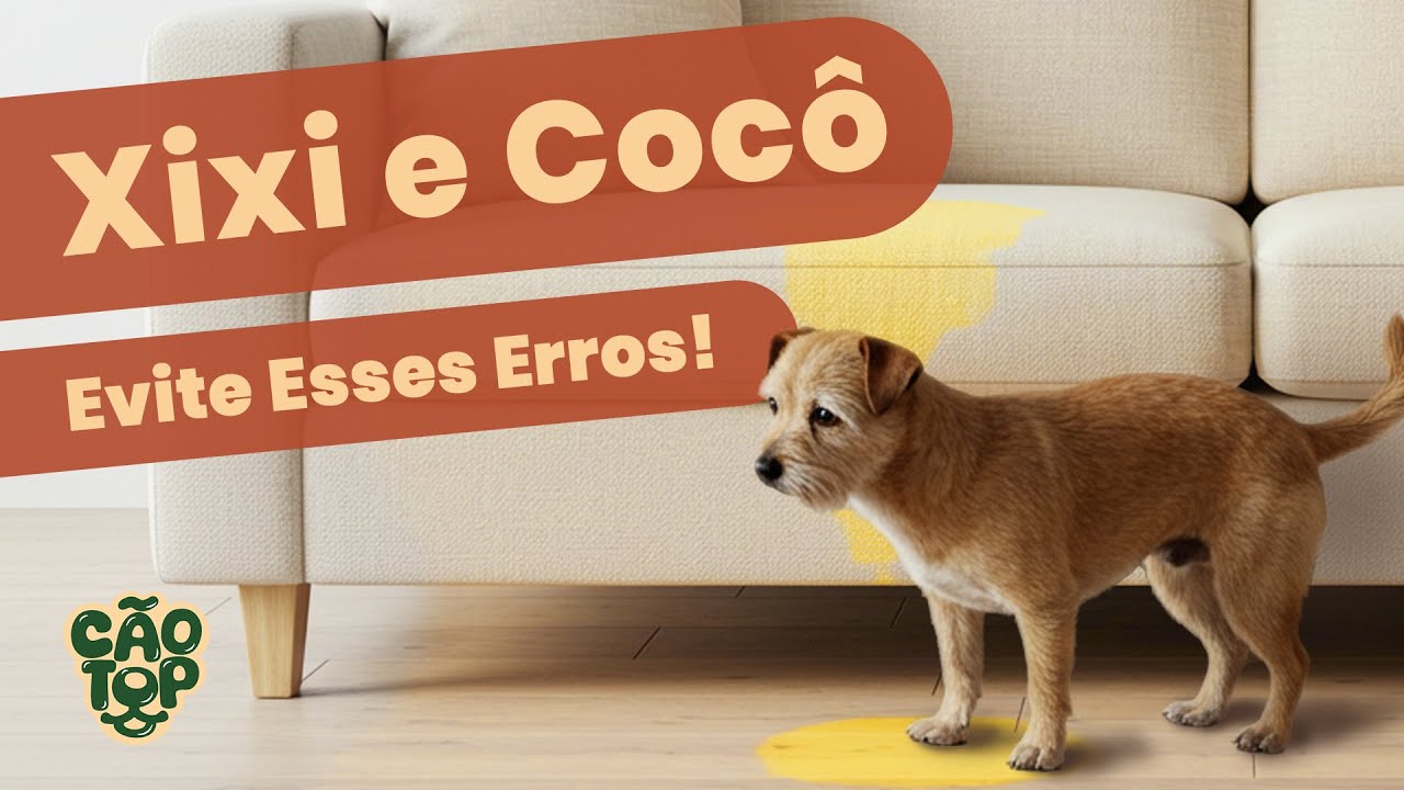Os 5 Maiores Erros ao Ensinar Xixi e Cocô no Lugar Certo Para Seu Cão ⚠️🐾