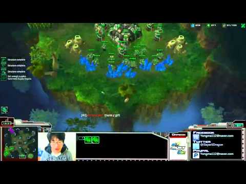 Slayers Dragon TvZ Engineering Bay PF Contain