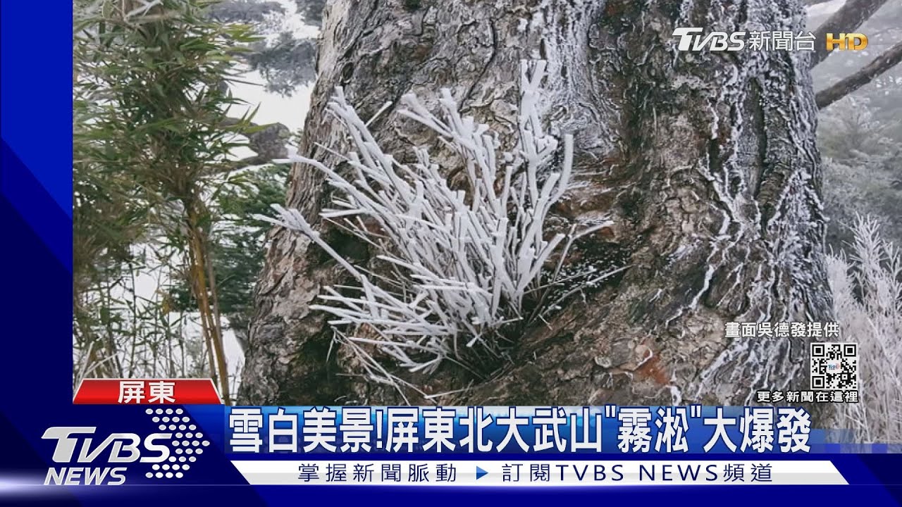 比畫還要美!屏東北大武山「霧淞」大爆發 一片雪白