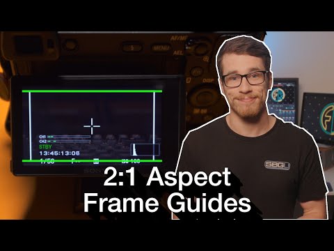 2:1 Aspect Ratio Guidelines on Almost Any Mirrorless Camera
