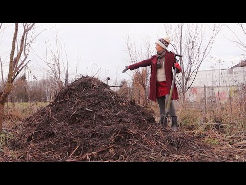 Kompost - złoto ogrodnika