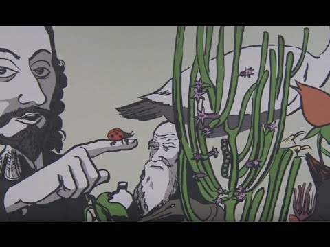 download lagu mp3 mp4 Sarnath Banerjee Artist, download lagu Sarnath Banerjee Artist gratis, unduh video klip Sarnath Banerjee Artist