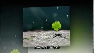Bạn ơi đừng khóc - Lưu Tử Linh (Pinyin+ Vietsub by Ecopop)