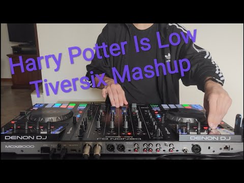 Harry Potter is Low - Flo Rida ft  T Pain vs Belik Boom (Tiversix Live Mashup) [Psytrance] FREE DL