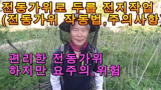 전동가위로 두릅전지 작업(1) (전동가위 작동법과 주의사항)