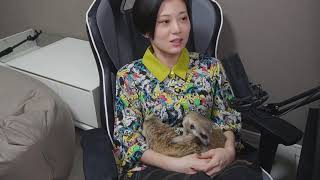 ミチャーコとAPEXやるつもりが寝落ちしていました