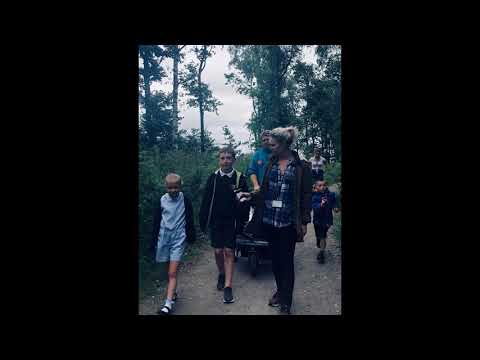 East Ardsley Fairy Doors on BBC