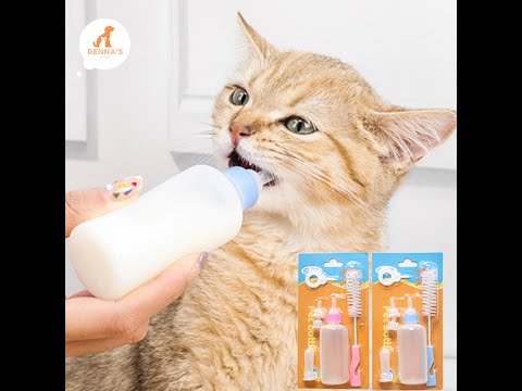 Renna's Pet Feeding Bottle Dog Cat Milk Bottle Nursing Kitten Puppy Rabbit 6pcs Pet Supplies 60 ml