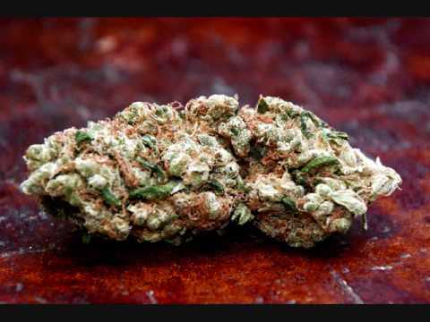 Evil Pimp - fiya indo