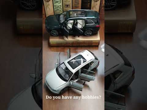 Thumbnail for Do you have any hobbies? this is not a toy by Car