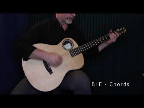 Пример звучания гитары Walden B1E