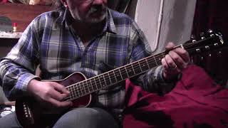 Video thumbnail for Тревел Гитара Jhonson JC - TR2 by Вячеслав Капорин