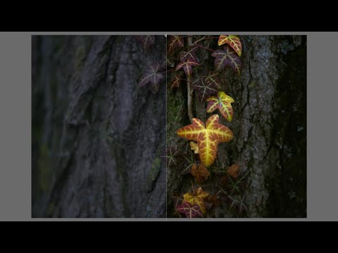 Editing moments with darktable. Episode 32: demonstration of color balance module