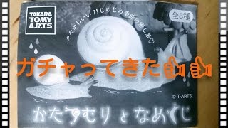 【ガチャ】かたつむりとなめくじをガチャってきた！