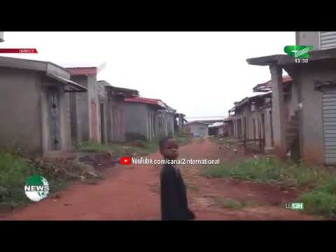 LE JOURNAL TÉLÉVISÉ BILINGUE 13H00 du Mardi 04/08/2020 - Canal 2 international