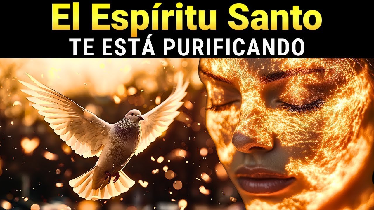 Descubre Cómo El Espíritu Santo Te Está Purificando ¿te Sientes Identificado?
