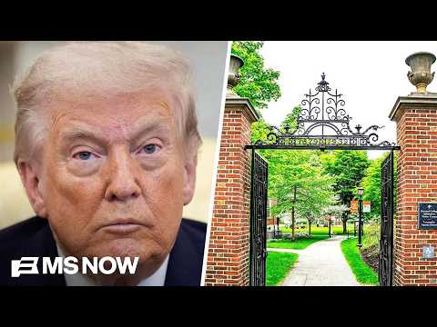 'Bizarro Marie Antoinette': REACTION to Trump's focus on 'cheap culture war stuff'