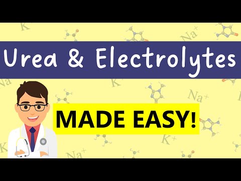 Urea & Electrolytes (U&Es) interpretation |  7 MINUTE COMPLETE GUIDE
